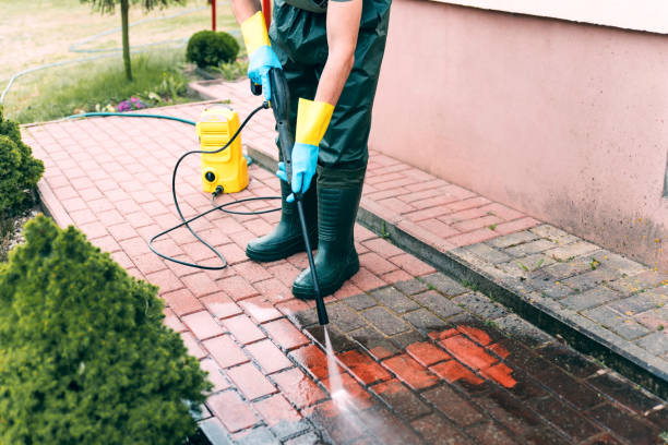 Animal Enclosure Cleaning in Palermo, NJ